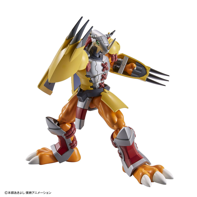Figure-rise Standard WARGREYMON (Digimon Adventure Non-Scale)