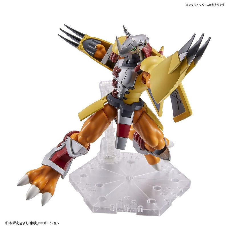 Figure-rise Standard WARGREYMON (Digimon Adventure Non-Scale)