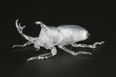 Biology Edition 21 EX-1 Rhinoceros Beetle Special Version (Clear)