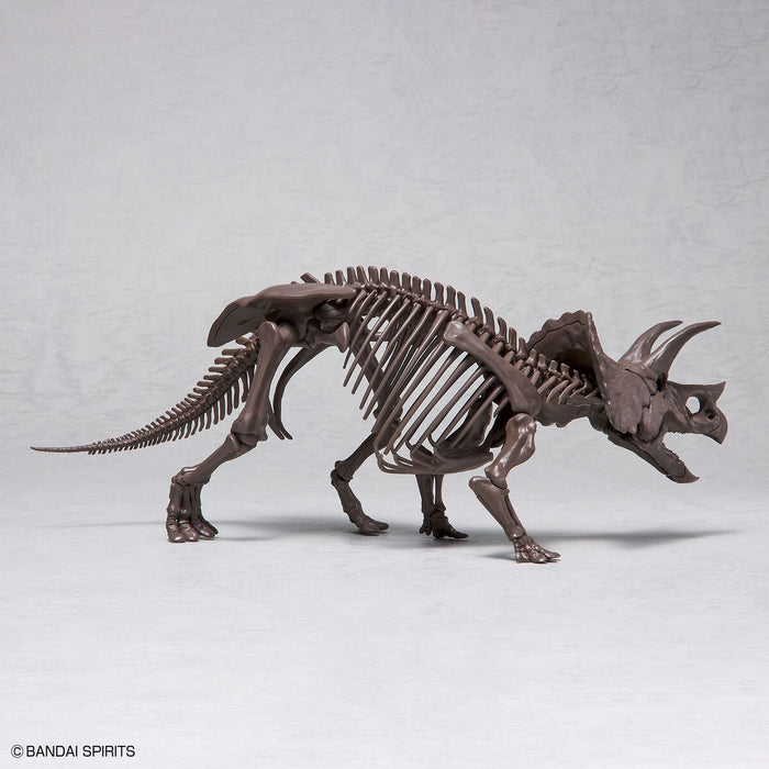 1/32 Imaginary Skeleton Triceratops