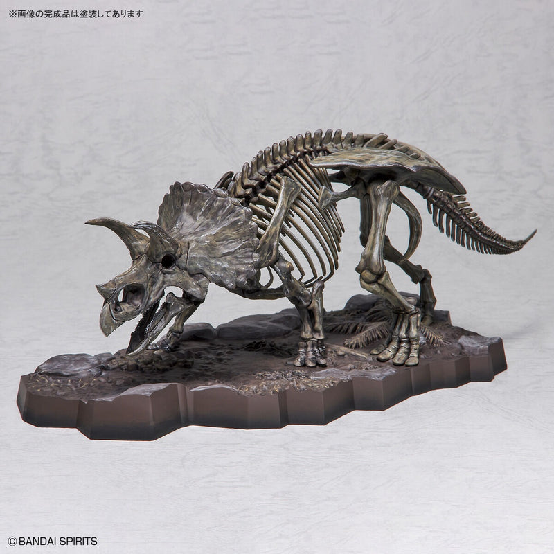 1/32 Imaginary Skeleton Triceratops
