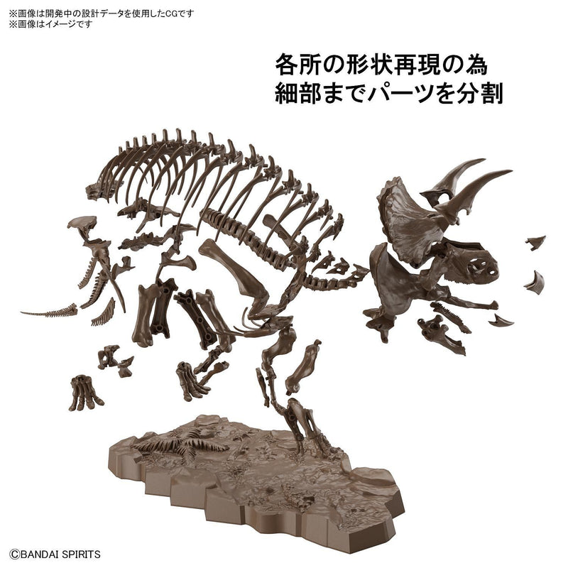 1/32 Imaginary Skeleton Triceratops