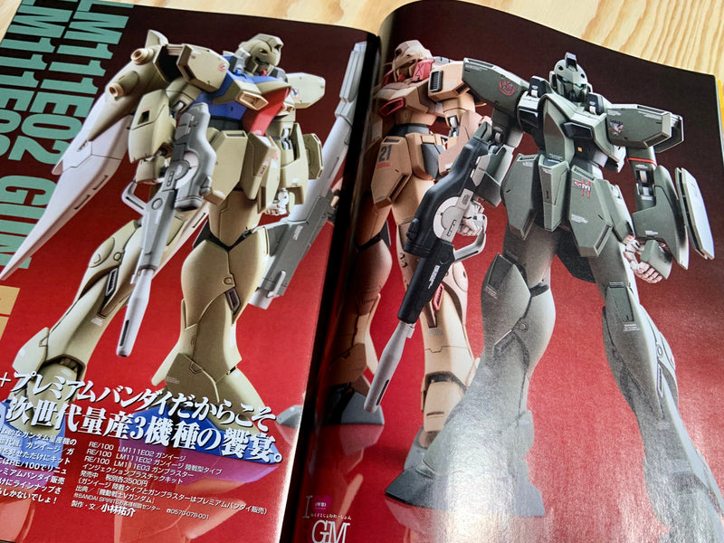 Monthly Magazine Model Graphix 2019.11