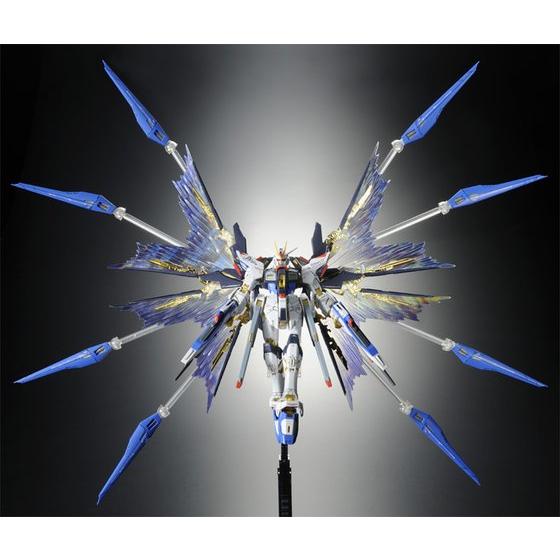 Premium Bandai Real Grade (RG) 1/144 ZGMF-X20A Strike Freedom Gundam Wings of the Sky Effect [Parts Only]
