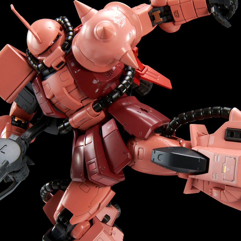 Premium Bandai Real Grade (RG) 1/144 High Mobility Type Zaku II Team Monstor Custom