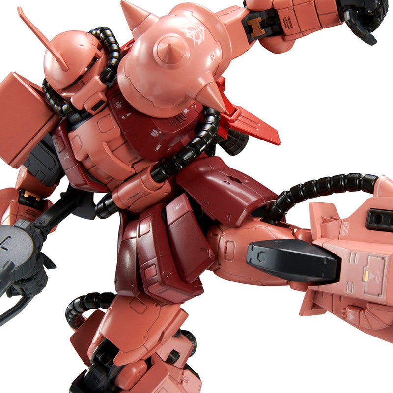 Premium Bandai Real Grade (RG) 1/144 High Mobility Type Zaku II Team Monstor Custom