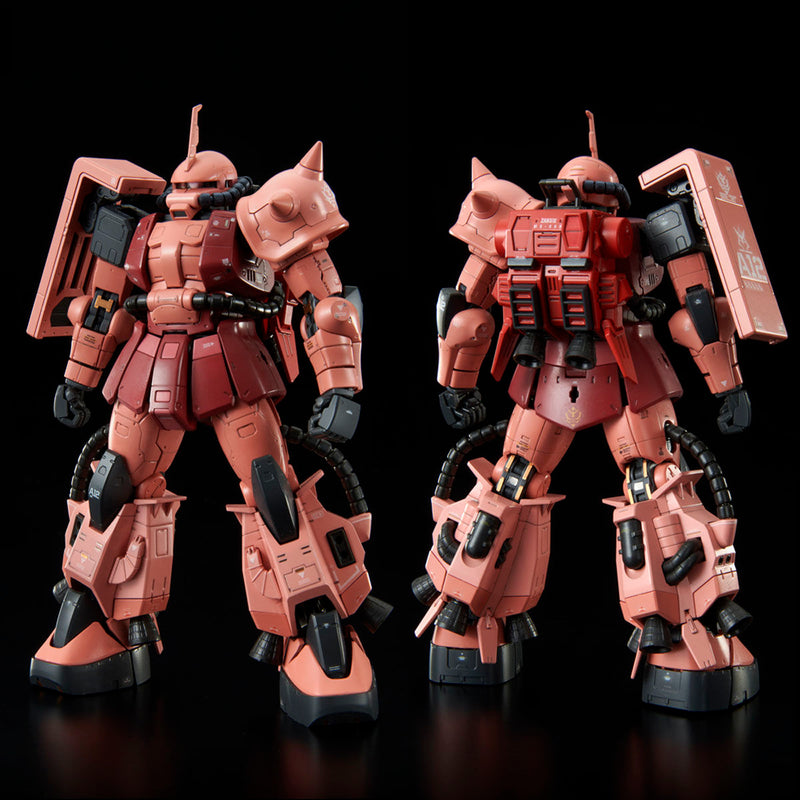 Premium Bandai Real Grade (RG) 1/144 High Mobility Type Zaku II Team Monstor Custom