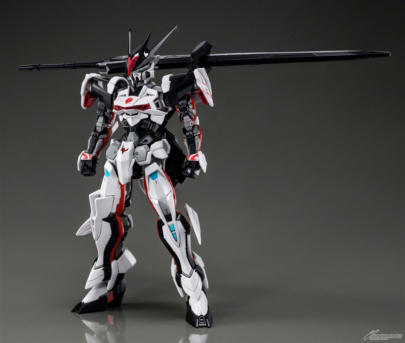 Premium Bandai High Grade (HG) HGCE 1/144 Load Astray Ω (Omega)