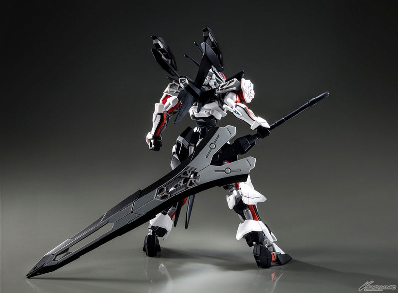 Premium Bandai High Grade (HG) HGCE 1/144 Load Astray Ω (Omega)