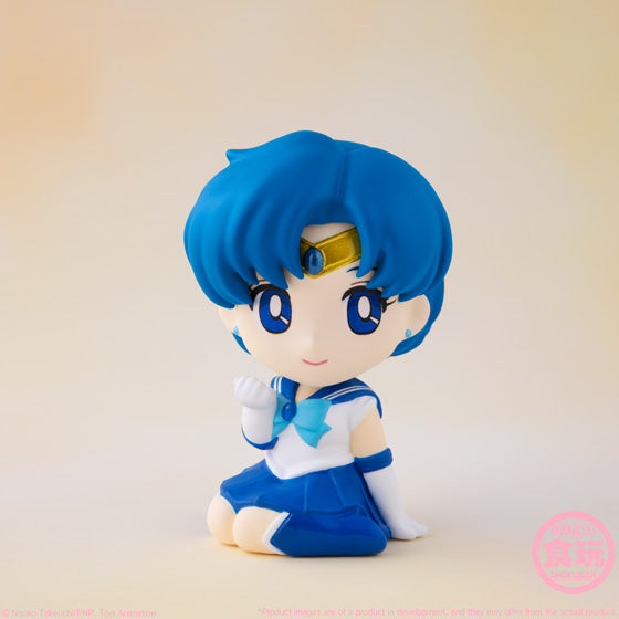 Shokugan Relaxing Mascot - Sailor Moon (Single Unit Blind Box)