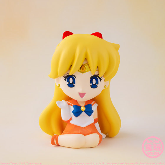 Shokugan Relaxing Mascot - Sailor Moon (Single Unit Blind Box)