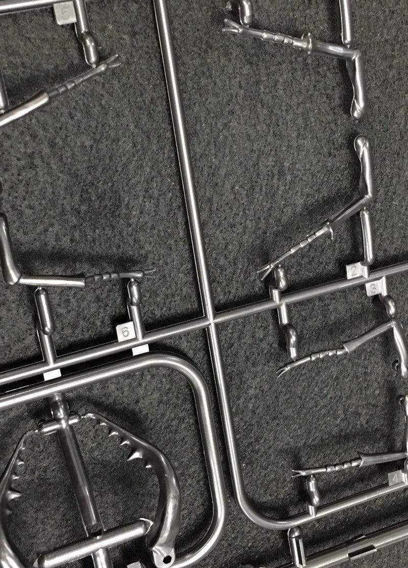 Biology Edition 22 Stag Beetle