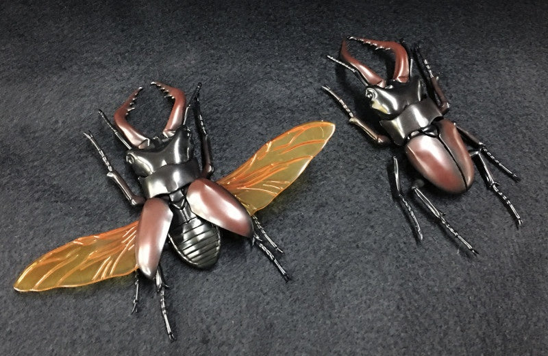 Biology Edition 22 Stag Beetle