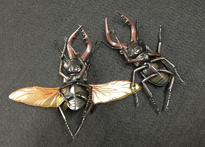 Biology Edition 22 Stag Beetle