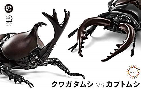 Biology Edition 25 Rhinoceros Beetle vs Stag Beetle Showdown Set