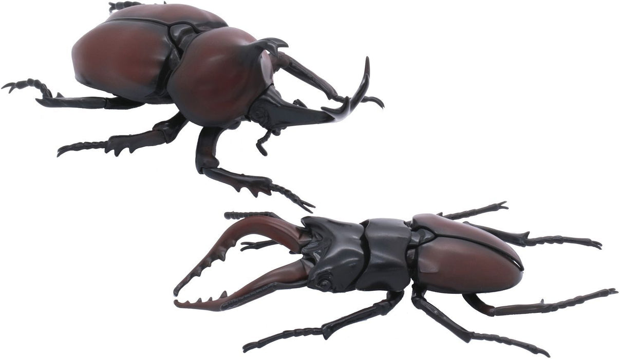 Biology Edition 25 Rhinoceros Beetle vs Stag Beetle Showdown Set