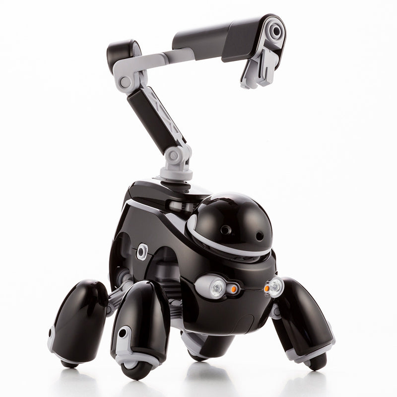 Maruttoys 1/12 Tamotu Black Ver.