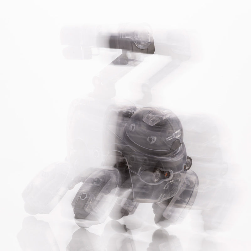 Maruttoys 1/12 Tamotu [Skeleton Ver.]