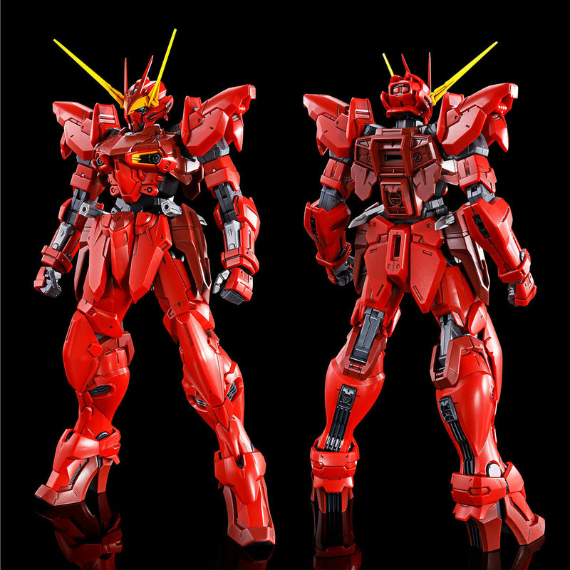 Premium Bandai Master Grade (MG) 1/100 RGX-00 Testament Gundam