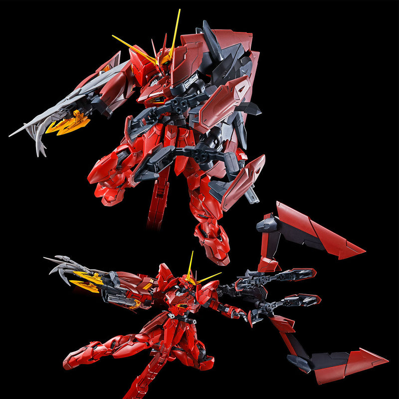 Premium Bandai Master Grade (MG) 1/100 RGX-00 Testament Gundam