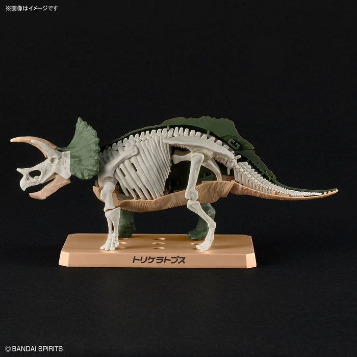 Plannosaurus Non-Scale Triceratops