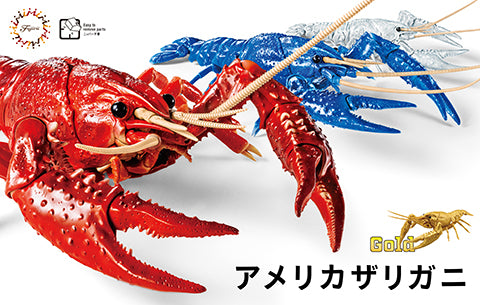 Biology Edition 24EX Crayfish (Gold)