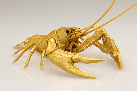 Biology Edition 24EX Crayfish (Gold)