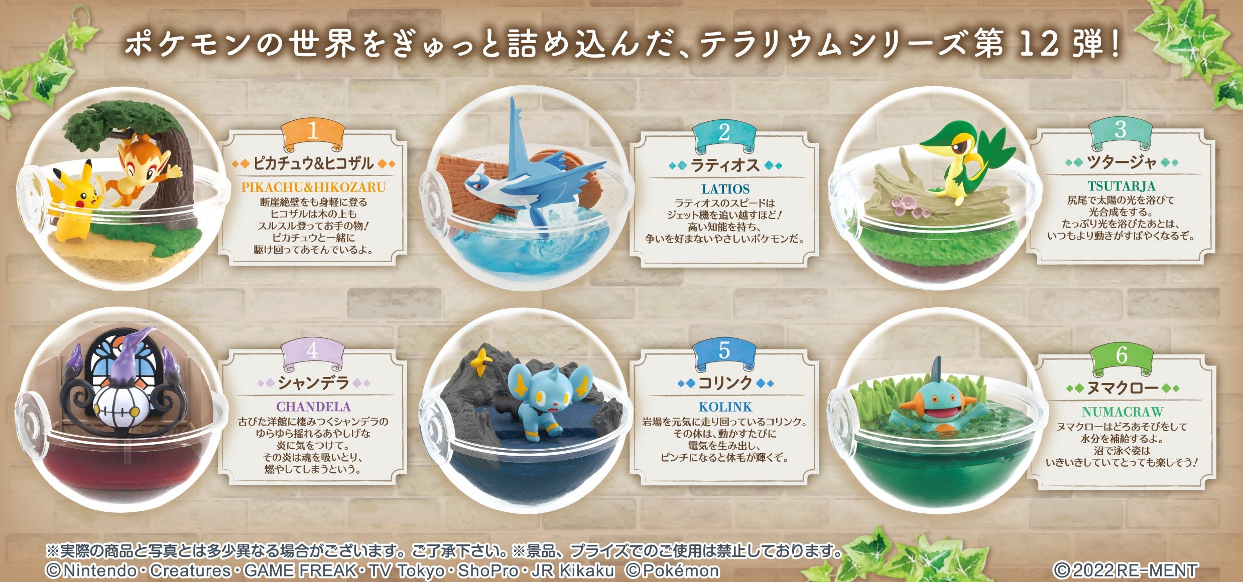 Re-ment - Pokemon: Terrarium Collection 12 - Argama Hobby - Canada